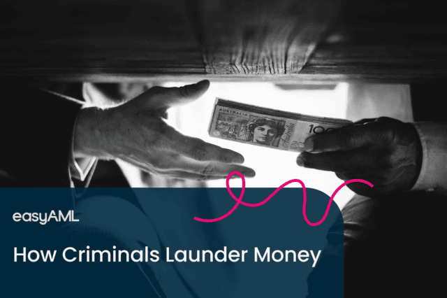 How_Criminals_Launder_Money-01